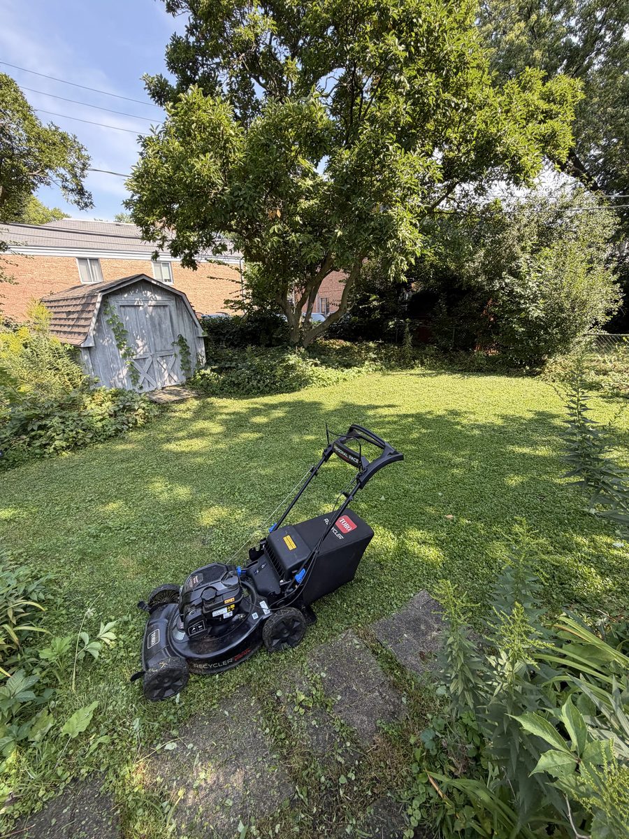 Lawn Care & Mowing: Fresh Cut Backyard Turf with Toro Recycler