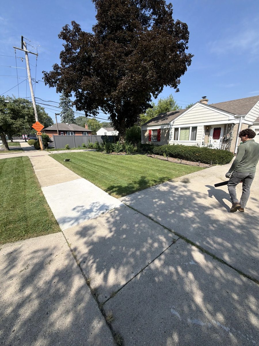 Lawn Care in Chicago South Side work example 2 in Chicago South Side