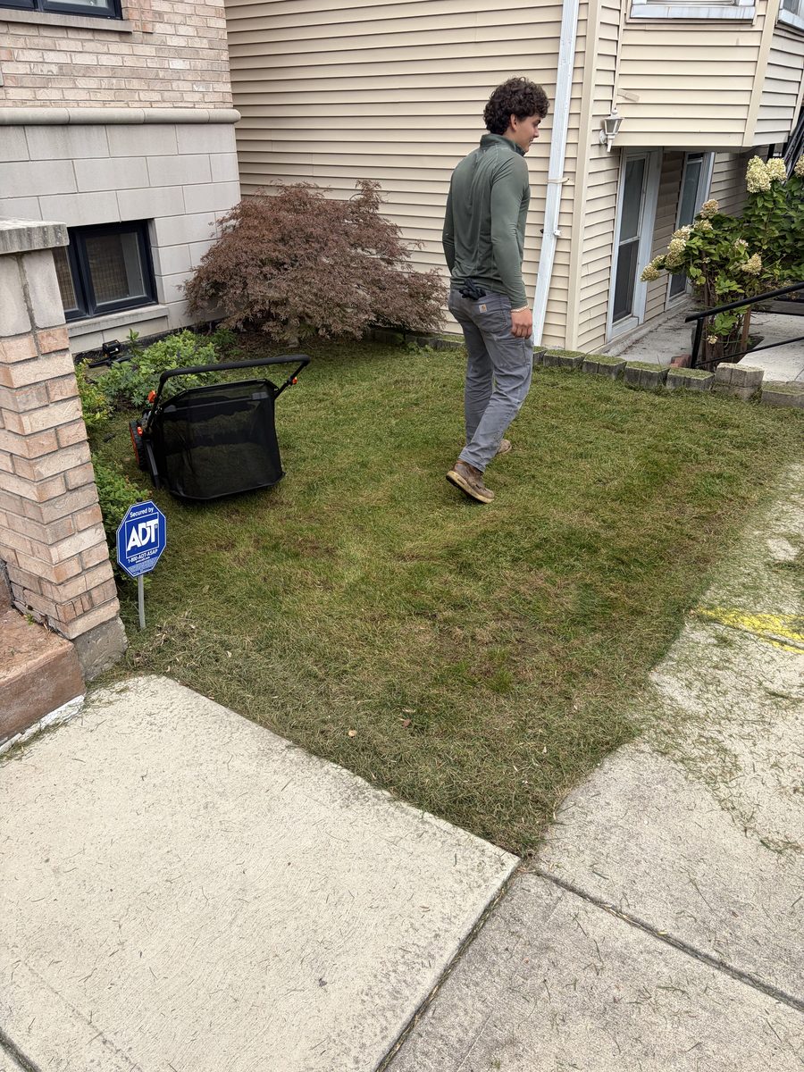 Parkway bed prepped for planting