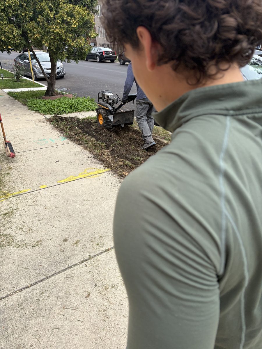 Tilling a dead parkway bed