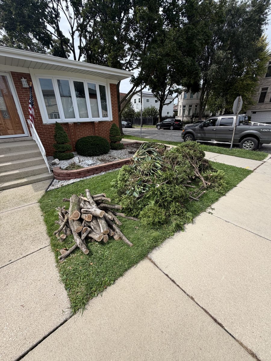 Brush and branch cleanup on a front lawn